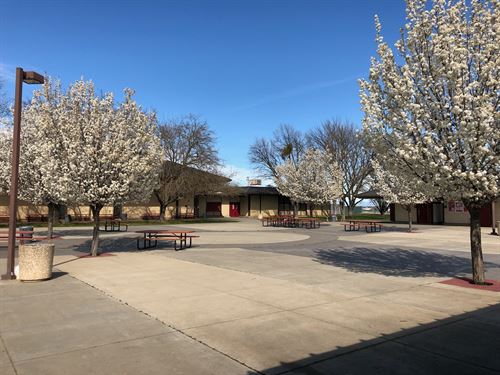 Quad in spring