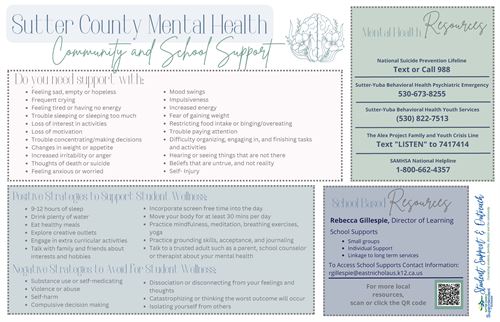 flyer2 